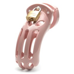 The Curve Chastity Cock Cage Kit - Pink